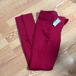 Express Scarlet Maroon Pants